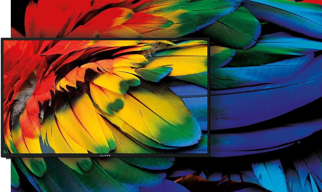 Telewizor z kolorowymi kwiatami